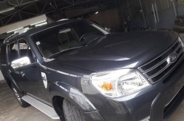 2013 Ford Everest for sale in Manila
