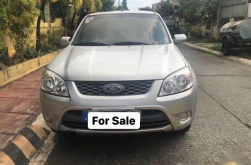 2013 Ford Escape for sale in Cainta