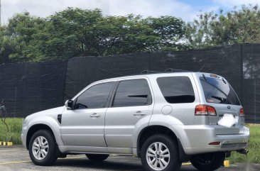 Ford Escape 2010 for sale in Parañaque