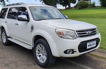 2nd-hand Ford Everest 2013 for sale in Quezon City