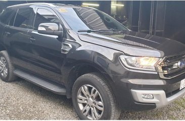 2016 Ford Everest for sale in Quezon City 