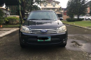 2010 Ford Escape for sale in Pasig