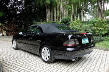 Sell 1999 Mercedes-Benz CLK Convertible in Mandaluyong