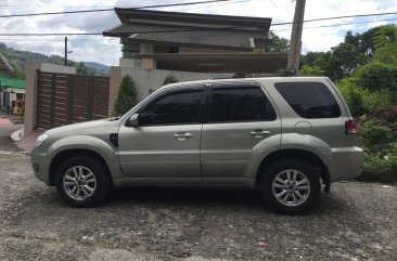 Ford Escape 2010 for sale in Marikina