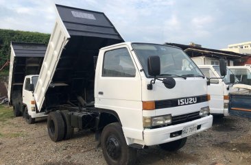 Selling 2019 Isuzu Elf Truck in Mandaue 