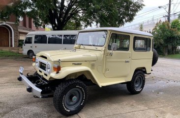 Sell 1977 Toyota Land Cruiser in Quezon City