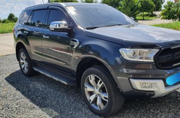 Grey Ford Everest for sale in Manila