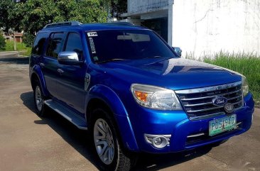 Blue Ford Everest for sale in Bacolor