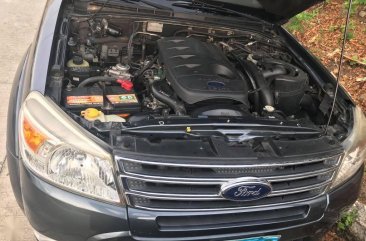 Black Ford Everest for sale in Manila