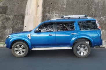 Blue Ford Everest for sale in Manila