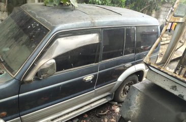 Sell Blue Mitsubishi Pajero Wagon (Estate) in Mandaluyong