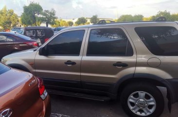 Selling Grey Ford Escape 2.0 XLS Auto 2003 in Valenzuela