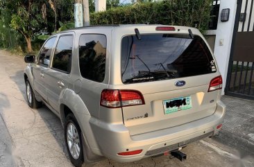 Silver Ford Escape 2010 for sale in Quezon City