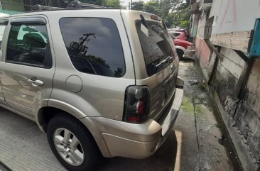 Sell Silver 2007 Ford Escape in Quezon City