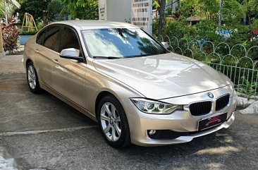 Sell Silver 2014 BMW 318D in Quezon City