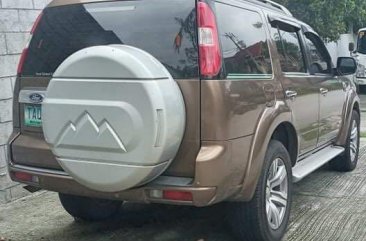 Selling Brown Ford Everest 2010 in Quezon