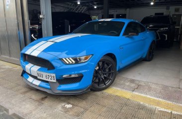 Sell Blue 2017 Ford Mustang