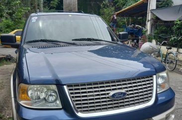 Sell Blue 2006 Ford Expedition in Valenzuela