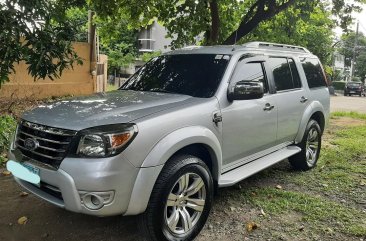 Brightsilver Ford Everest 2010 for sale in Quezon