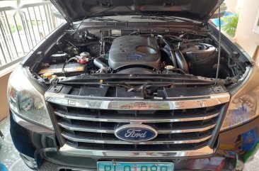 Sell Black 2010 Ford Everest in Cabanatuan