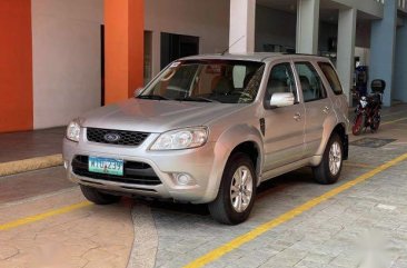 Sell Silver 2013 Ford Escape in Pasay