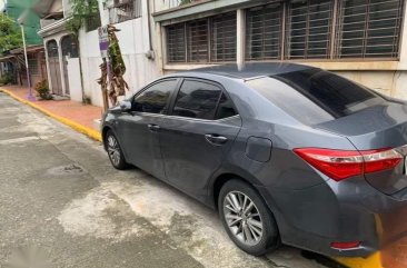 Selling Grey Toyota Corolla Altis 2016 in Las Piñas