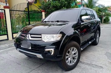 Sell Black 2015 Mitsubishi Montero in Capas