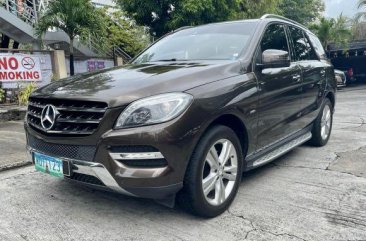 Silver Mercedes-Benz ML250 2013 for sale in Pasig 