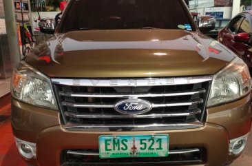 Brown Ford Everest 2010 for sale in Quezon City
