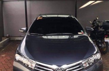 Sell Grey 2016 Toyota Corolla altis in Makati