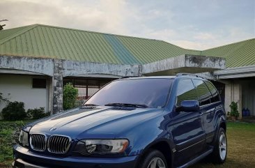 Blue BMW X5 2001 for sale in Cebu City