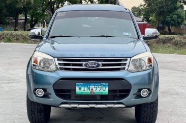 Blue Ford Everest 2013 for sale in Parañaque
