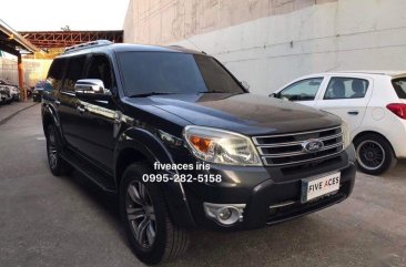 Purple Ford Everest 2013 for sale in Mandaue