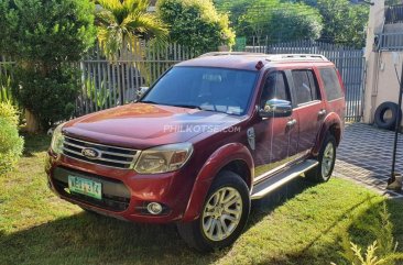 2013 Ford Everest  Ambiente 2.2L4x2 AT in Parañaque, Metro Manila