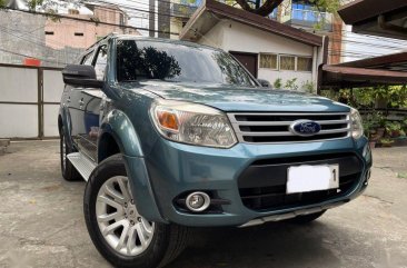 Purple Ford Everest 2014 for sale in Parañaque