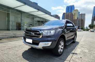 Purple Ford Everest 2019 for sale in Pasig