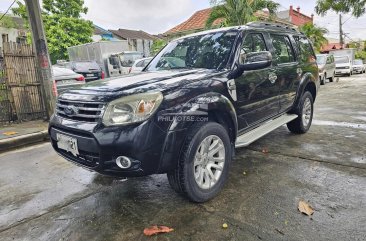 2014 Ford Everest  Ambiente 2.2L4x2 AT in Bacoor, Cavite