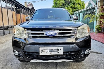 2014 Ford Everest  Ambiente 2.2L4x2 AT in Bacoor, Cavite