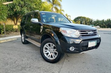 Sell White 2013 Ford Everest in Manila