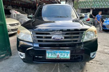 2013 Ford Everest in Quezon City, Metro Manila