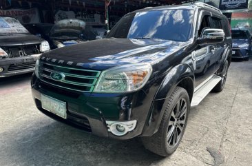 2013 Ford Everest in Quezon City, Metro Manila