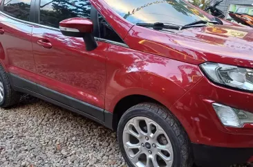 2019 Ford EcoSport  1.5 L Titanium AT in Panglao, Bohol