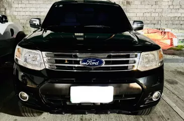 2015 Ford Everest  Titanium 2.2L 4x2 AT in Quezon City, Metro Manila