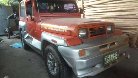 2009 jeep wrangler for sale by owner