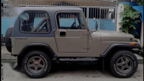 Buy used Jeep Wrangler 1995 for sale in the Philippines