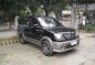 2009 Mitsubishi Adventure for sale-1