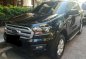 2016 Ford Everest for sale-0