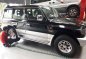 Mitsubishi Pajero Field Master 2002 for sale -2