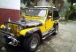 For sale 2006 Wrangler-Jeepney-1