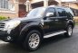 2013 Ford Everest Manual Limited Edition ICE for sale-1